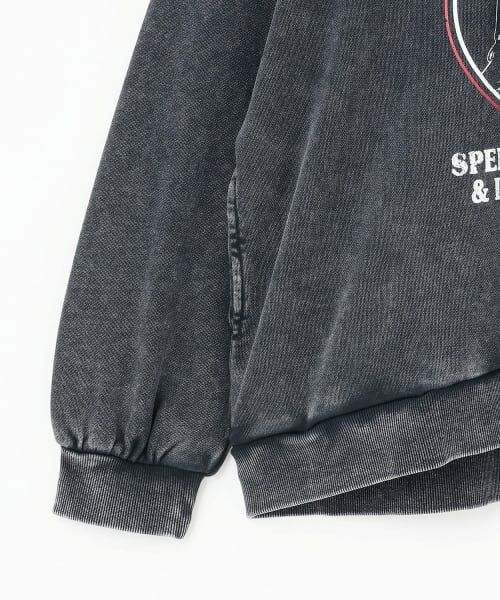 Lovetoxic / ラブトキシック パーカー | 【LTXC】ピグメントプルパーカ | 詳細7