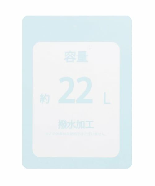 Lovetoxic / ラブトキシック リュック・バックパック | 【LTXC】ポーチツキ22Lリュック | 詳細24