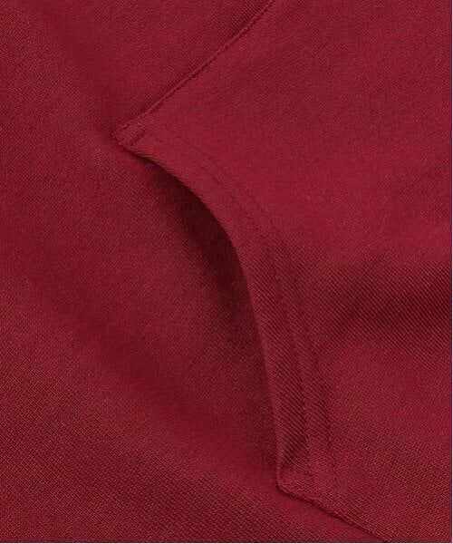 Lovetoxic / ラブトキシック パーカー | 【LTXC】バックサガラパーカ | 詳細12