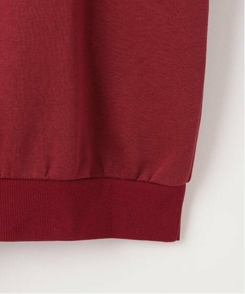 Lovetoxic / ラブトキシック スウェット | 【GOODPRICE】裏起毛フラワーロゴプルオーバー | 詳細4