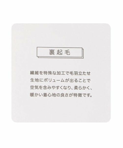 Lovetoxic / ラブトキシック パーカー | 【GOODPRICE】裏起毛バックロゴプルパーカ | 詳細19