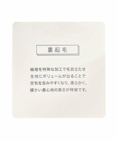 Lovetoxic / ラブトキシック スウェット | 【LTXC】裏起毛ラインクロップドトレーナー | 詳細11