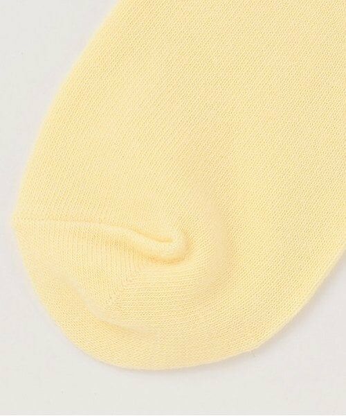 Lovetoxic / ラブトキシック ソックス | 刺しゅうリブクルーソックス | 詳細2