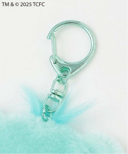 Lovetoxic / ラブトキシック キーホルダー・ストラップ | 【ケアベア】フォトキーホルダー | 詳細9