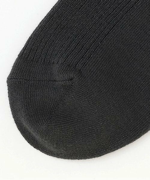 Lovetoxic / ラブトキシック ソックス | 【抗菌防臭】モチーフリブスクールソックス | 詳細3