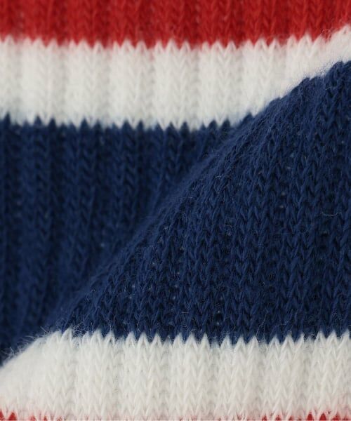 Lovetoxic / ラブトキシック ソックス | ライン刺しゅうクルーソックス | 詳細2