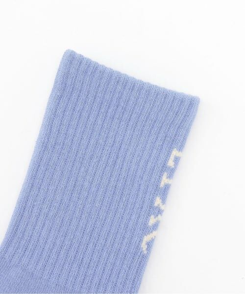 Lovetoxic / ラブトキシック ソックス | 【抗菌防臭】バックLTXCクルーソックス | 詳細1