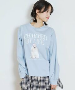 Lovetoxic / ラブトキシック Tシャツ | 【綿100%】グラフィックアソート長袖T