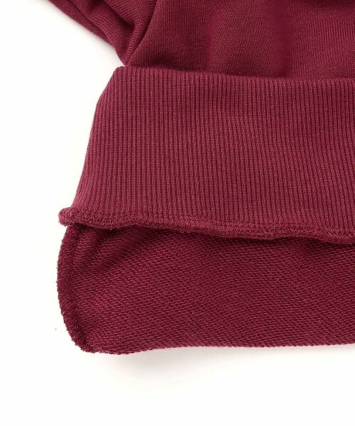 Lovetoxic / ラブトキシック スウェット | 【7days】袖ライントレーナー | 詳細12