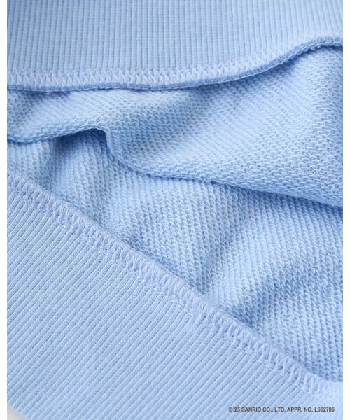 Lycee mine / リセマイン スウェット | 【スタジオハヌル×サンリオキャラクターズ】【どちらが前でもOK】アソート衿付きスウェット | 詳細12