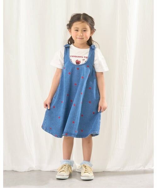 Lycee mine / リセマイン ミニ丈・ひざ丈ワンピース | 【ともデニ】アソート刺しゅう総柄フレアワンピース（ブルー）