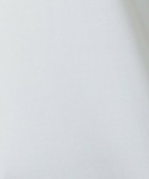 MACKINTOSH LONDON(L Size) / マッキントッシュ ロンドン (エル サイズ) カットソー | 【L】【SUPER FINE LAB.】パウダーシュガーコットン五分袖Tシャツ | 詳細11