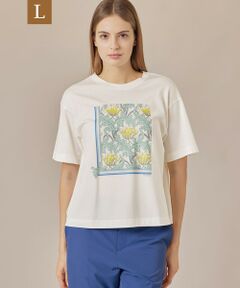 MACKINTOSH LONDON(L Size) / マッキントッシュ ロンドン (エル サイズ) カットソー | 【L】ブリティッシュチューリッププリントＴシャツ