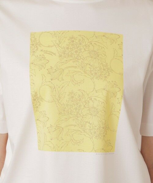 MACKINTOSH LONDON(L Size) / マッキントッシュ ロンドン (エル サイズ) カットソー | 【L】【BIBURY FLOWER】カラーバイブリーコットンTシャツ | 詳細7