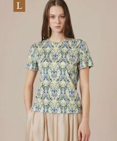 MACKINTOSH LONDON(L Size) / マッキントッシュ ロンドン (エル サイズ) カットソー | 【L】ボタニカルウォールプリントTシャツ