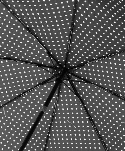 MACKINTOSH LONDON(MENS) / マッキントッシュ ロンドン 　メンズ 傘 | 【MACKINTOSH】ドット柄折り畳み傘 | 詳細4