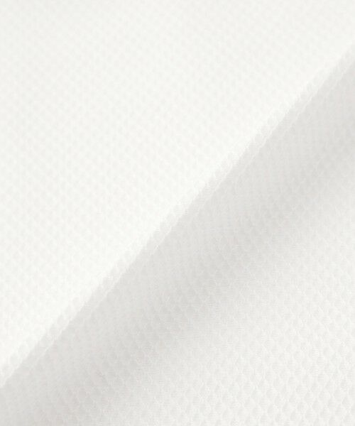 MACKINTOSH LONDON(MENS) / マッキントッシュ ロンドン 　メンズ カットソー | ブライトンポロシャツ | 詳細11