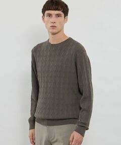 MACKINTOSH LONDON(MENS) / マッキントッシュ ロンドン 　メンズ ニット・セーター | 【WEB・一部店舗限定】ハイゲージケーブルクルーネックニット