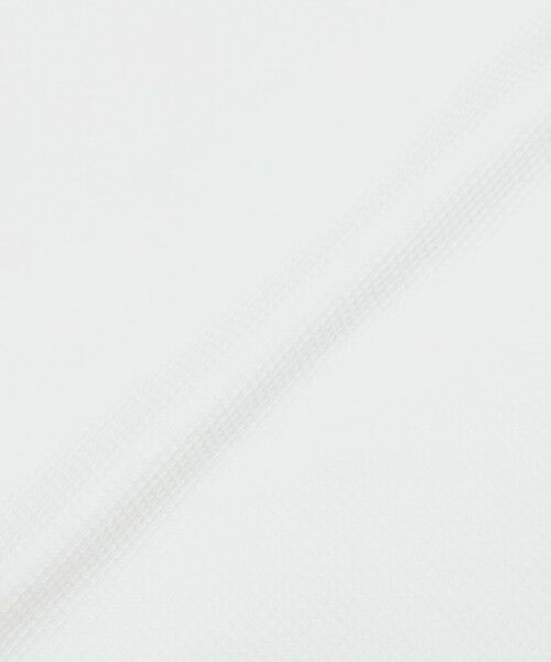 MACKINTOSH LONDON(MENS) / マッキントッシュ ロンドン 　メンズ カットソー | 【Brighton Polo】ブライトンポロシャツ | 詳細11