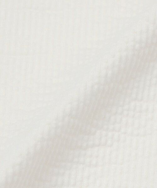 MACKINTOSH LONDON(MENS) / マッキントッシュ ロンドン 　メンズ カットソー | シアサッカーTシャツ | 詳細6