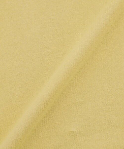 MACKINTOSH PHILOSOPHY / マッキントッシュ フィロソフィー カットソー | バッキンガムベア プリントT | 詳細13