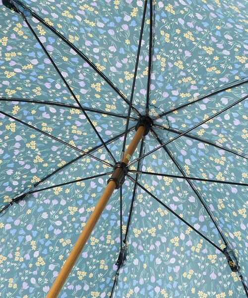 MACKINTOSH PHILOSOPHY / マッキントッシュ フィロソフィー 傘 | SnowblueGarden　バンブー長傘 | 詳細3