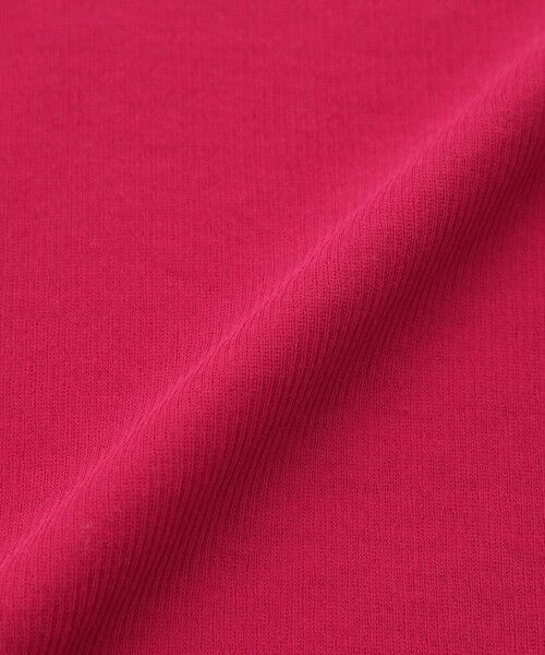 MACKINTOSH PHILOSOPHY / マッキントッシュ フィロソフィー カットソー | GREY LABEL シアーヘンリーネック | 詳細10