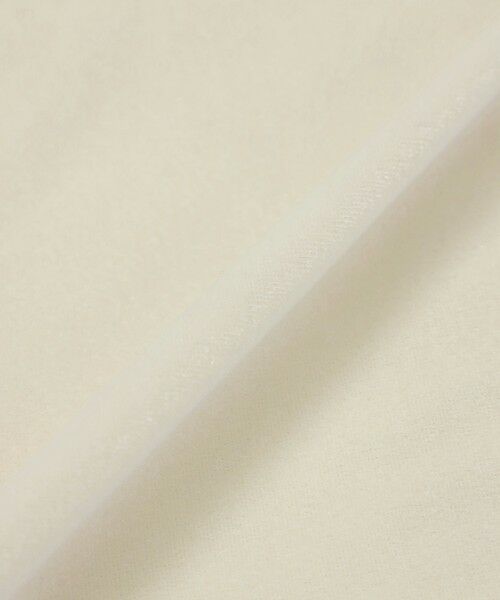 MACKINTOSH PHILOSOPHY / マッキントッシュ フィロソフィー カットソー | シアーベロアロングスリーブ | 詳細9