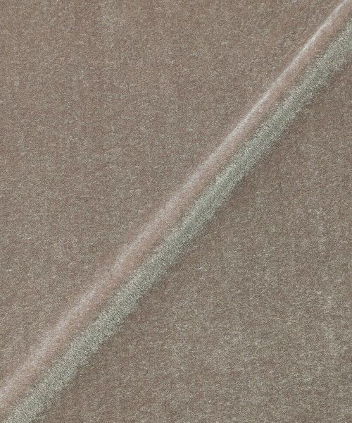 MACKINTOSH PHILOSOPHY / マッキントッシュ フィロソフィー カットソー | シアーベロアロングスリーブ | 詳細11