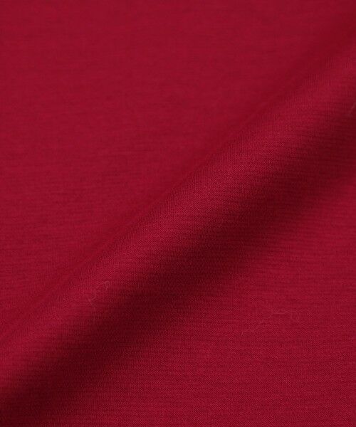 MACKINTOSH PHILOSOPHY / マッキントッシュ フィロソフィー カットソー | バッキンガムベア コットンポンチカーデ | 詳細10