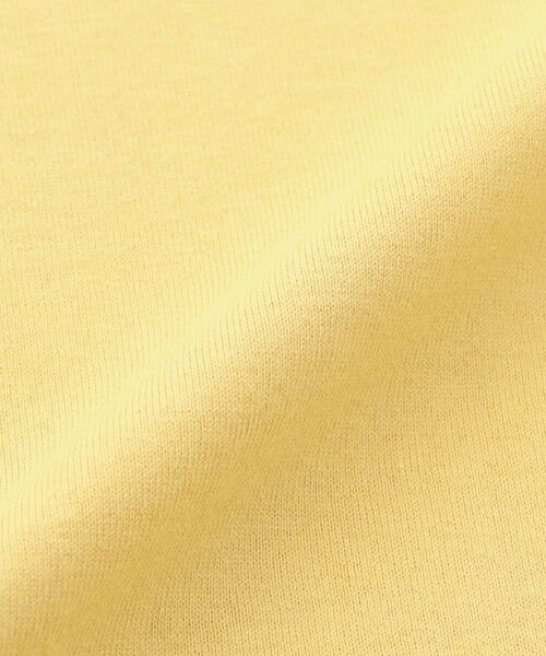 MACKINTOSH PHILOSOPHY / マッキントッシュ フィロソフィー カットソー | GREY LABEL リンガーロゴTシャツ | 詳細13