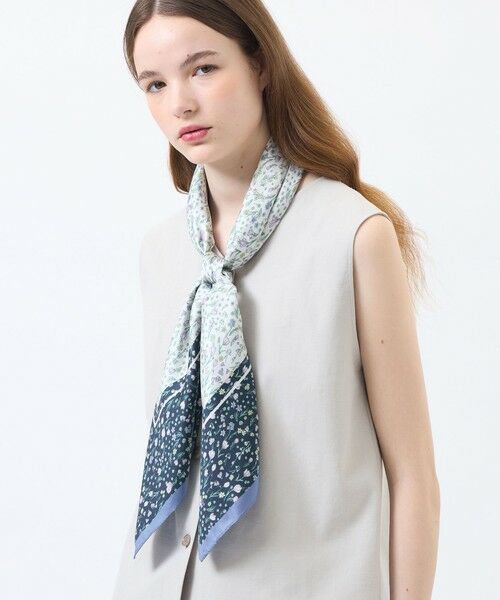 MACKINTOSH PHILOSOPHY / マッキントッシュ フィロソフィー その他小物 | （ブルー4）