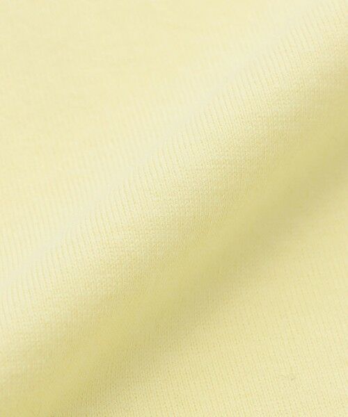 MACKINTOSH PHILOSOPHY / マッキントッシュ フィロソフィー カットソー | バッキンガムベア リンガーネックTシャツ | 詳細14