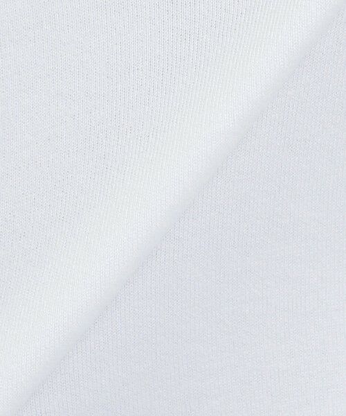 MACKINTOSH PHILOSOPHY(MENS) / マッキントッシュ フィロソフィー　メンズ カットソー | VIBTEXコラボ クルーネック半袖Tシャツ | 詳細11