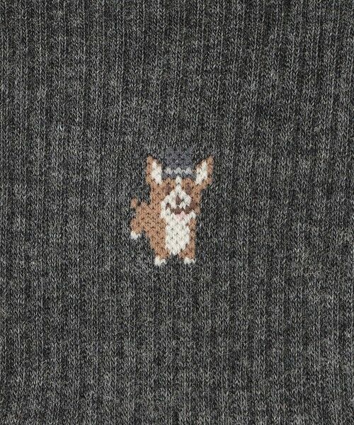 MACKINTOSH PHILOSOPHY(MENS) / マッキントッシュ フィロソフィー　メンズ その他インナー・ルームウェア | コーギー フロント＆バックスタイルワンポイント カジュアルソックス | 詳細4