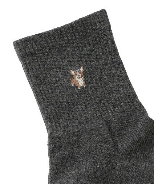 MACKINTOSH PHILOSOPHY(MENS) / マッキントッシュ フィロソフィー　メンズ その他インナー・ルームウェア | コーギー フロント＆バックスタイルワンポイント カジュアルソックス | 詳細1