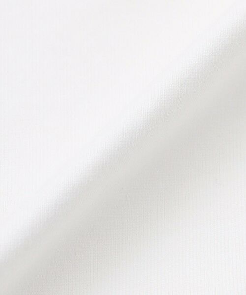 MACKINTOSH PHILOSOPHY(MENS) / マッキントッシュ フィロソフィー　メンズ カットソー | バッキンガムベア バスク天竺 ワイドリブロンT | 詳細10