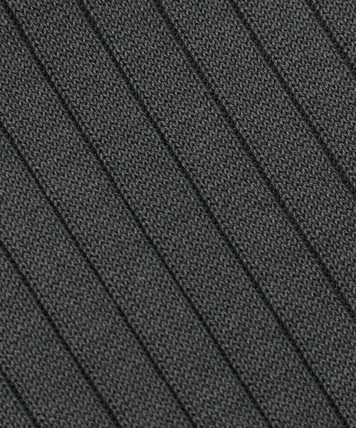 MACKINTOSH PHILOSOPHY(MENS) / マッキントッシュ フィロソフィー　メンズ その他インナー・ルームウェア | リブストライプ ビジネスソックス | 詳細5