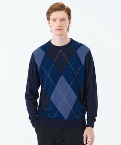MACKINTOSH PHILOSOPHY(MENS) / マッキントッシュ フィロソフィー　メンズ ニット・セーター | ビッグアーガイル クルーネックプルオーバーニット
