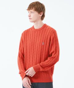 MACKINTOSH PHILOSOPHY(MENS) / マッキントッシュ フィロソフィー　メンズ ニット・セーター | バッキンガムベア ケーブル クルーネックプルオーバー