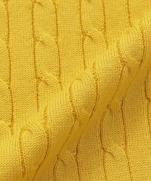 MACKINTOSH PHILOSOPHY(MENS) / マッキントッシュ フィロソフィー メンズ ニット・セーター | 【WEB&一部店舗限定】バッキンガムベア ケーブル クルーネックプルオーバー | 詳細10