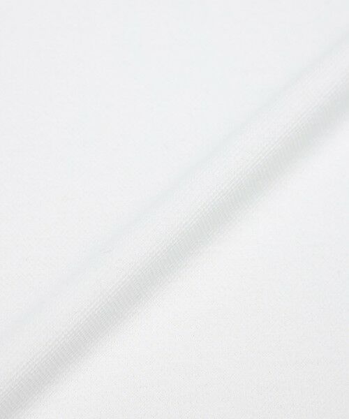 MACKINTOSH PHILOSOPHY(MENS) / マッキントッシュ フィロソフィー メンズ カットソー | 【WEEKENDER】 ELYPOLO(イーリーポロ) ソフトメッシュカノコ | 詳細18