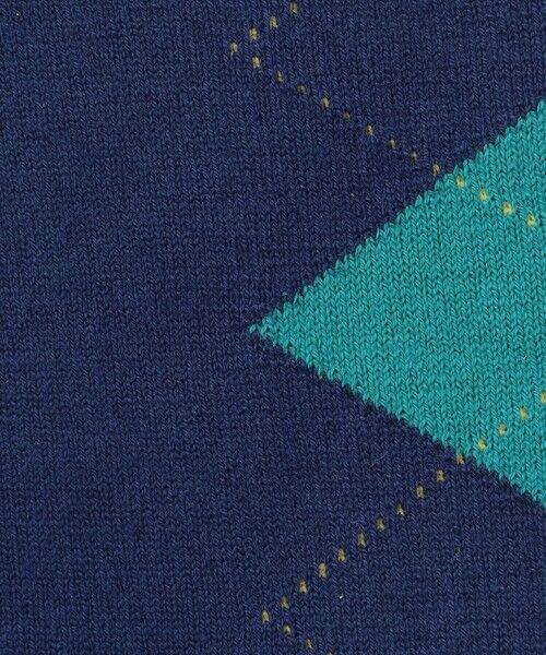 MACKINTOSH PHILOSOPHY(MENS) / マッキントッシュ フィロソフィー　メンズ その他インナー・ルームウェア | フロントアーガイル カジュアルソックス | 詳細5