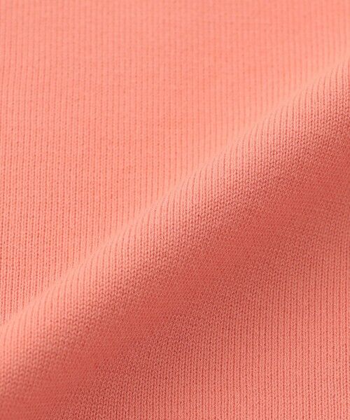 MACKINTOSH PHILOSOPHY(MENS) / マッキントッシュ フィロソフィー メンズ ニット・セーター | クルーネックニットT 16Gプレーティング天竺 | 詳細10