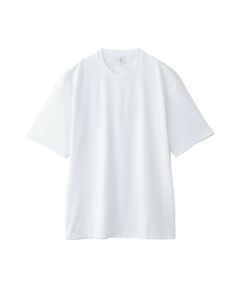MACKINTOSH PHILOSOPHY(MENS) / マッキントッシュ フィロソフィー　メンズ カットソー | トロッター Tシャツ クルーネック アイスドライカノコ