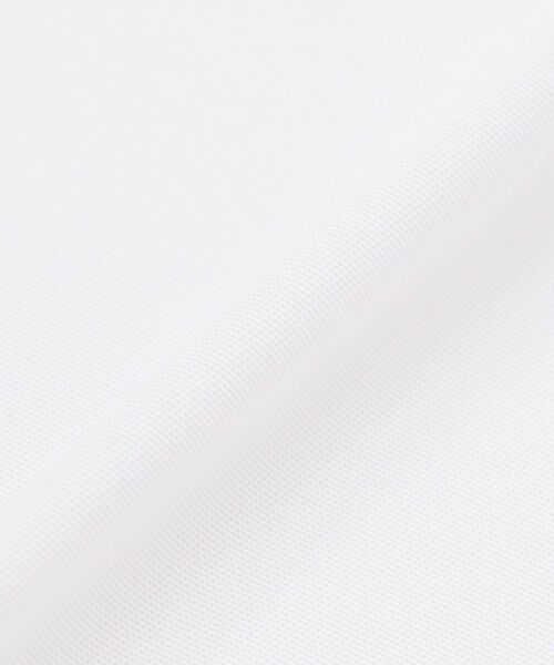 MACKINTOSH PHILOSOPHY(MENS) / マッキントッシュ フィロソフィー　メンズ カットソー | トロッター Tシャツ クルーネック アイスドライカノコ | 詳細6