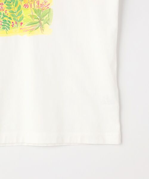 Mademoiselle NON NON / マドモアゼルノンノン Tシャツ | 【60th Anniversary Collection】コンパクトヤーン天竺エアロシフォン加工　水彩画Tシャツ【植物】 | 詳細3
