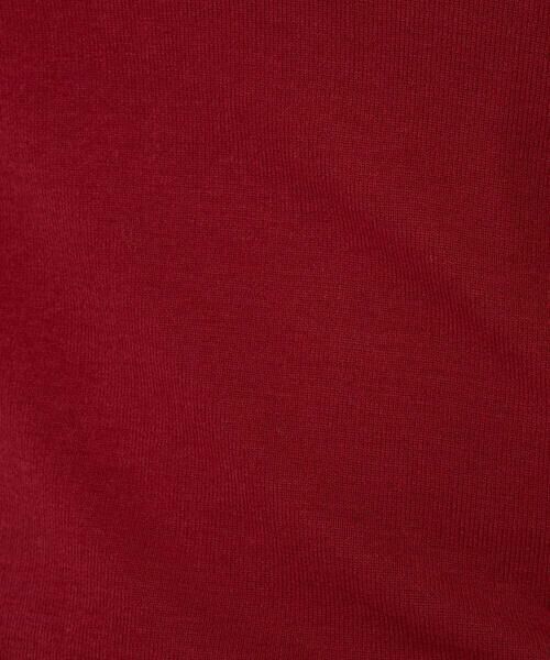 Maison de CINQ / メゾン ドゥ サンク カットソー | テンセルウールガーゼフライスカットソー | 詳細13