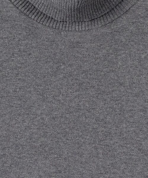 maison de F / メゾンドエフ ニット・セーター | TIGRE　タートルネックリラックスフィットニットソー | 詳細1