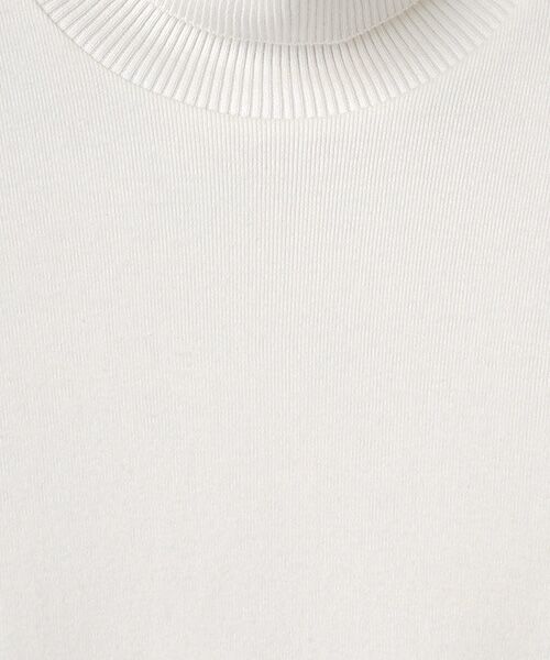 maison de F / メゾンドエフ ニット・セーター | ANANAS　タートルネックジャストフィットニットソー | 詳細1